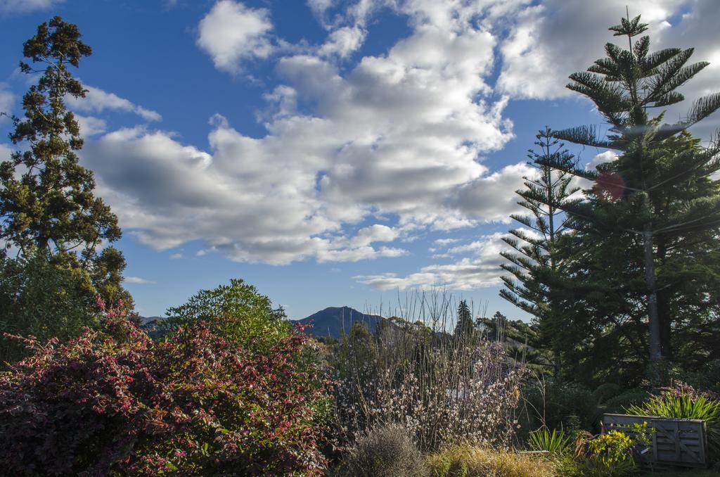 Starry Nights Cabin Fever Waikino Экстерьер фото